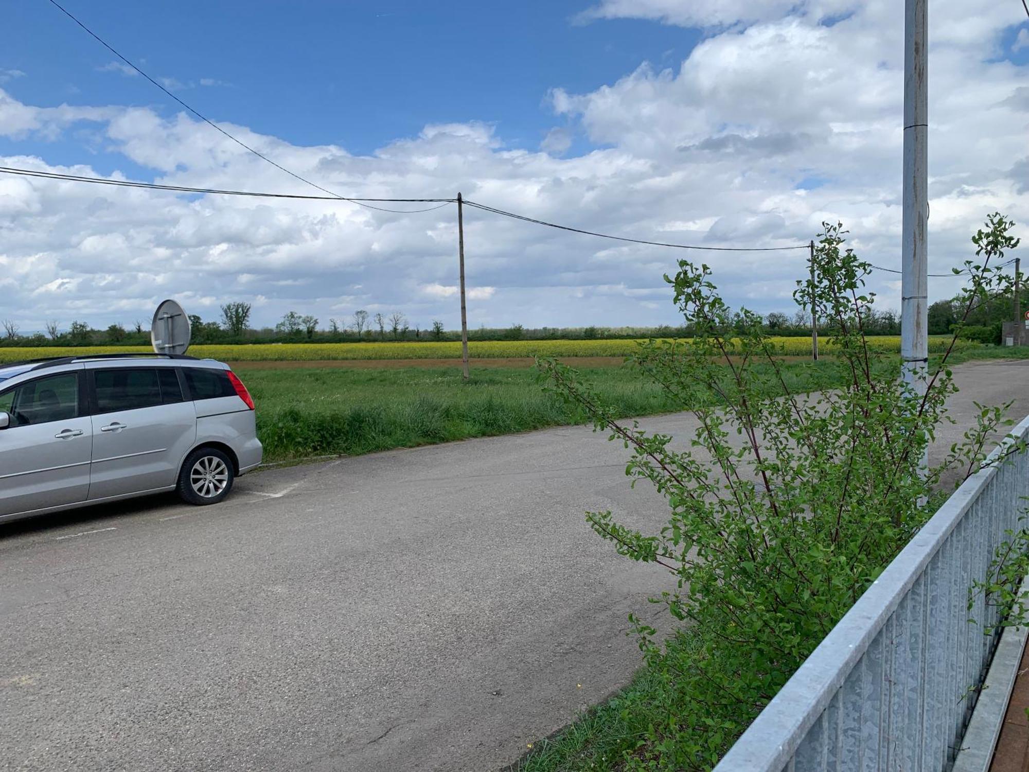 Apartamento L'Annexe Reiningue Exterior foto